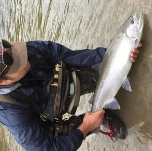 Meet your Posher, Jack